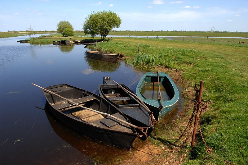 Le Parc naturel régional de Brière